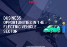 Business Opportunities in the Electric Vehicle Sector
